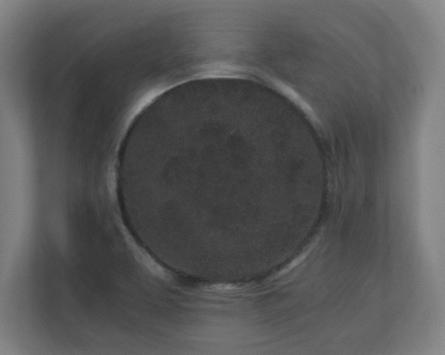 X0000110871463200906251219