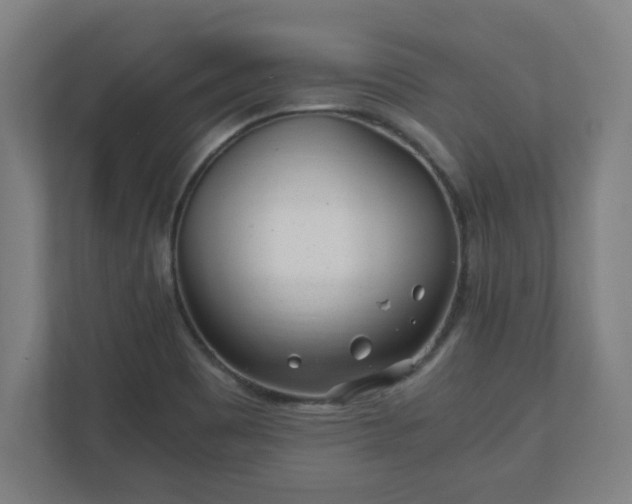 X0000110871465200906251219