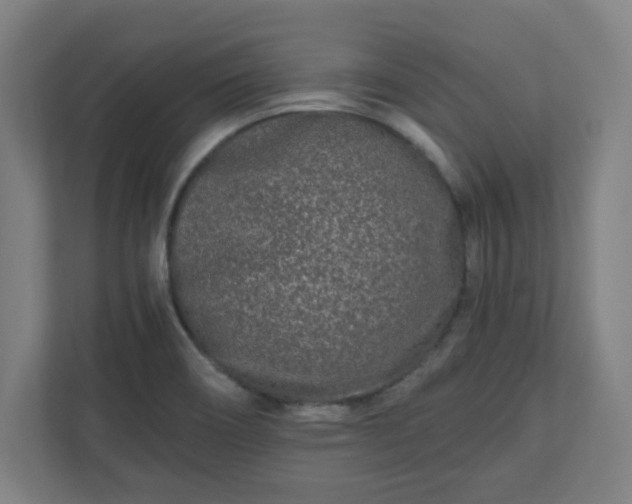 X0000110871466200906251219