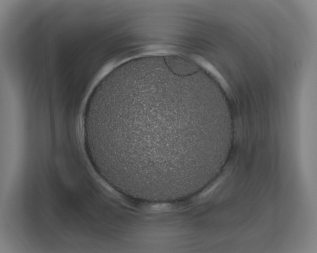 X0000110871467200906251219