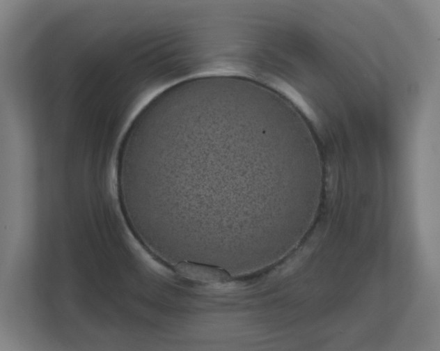 X0000110871468200906251219