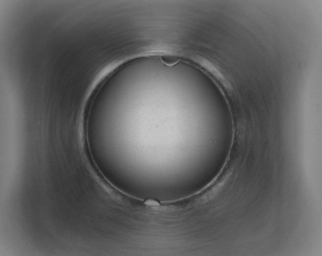 X0000110871469200906251218