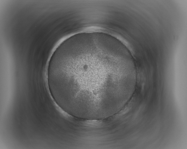 X0000110871478200906251218