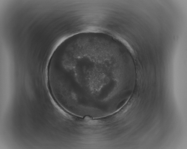 X0000110871479200906251218