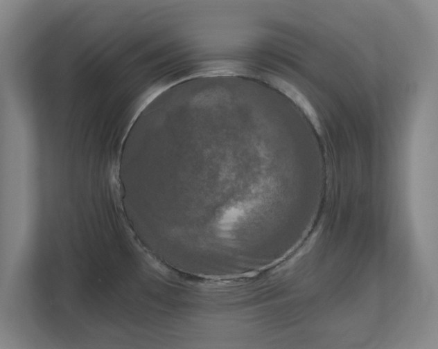 X0000110871481200906251218