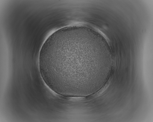 X0000110871487200906251218