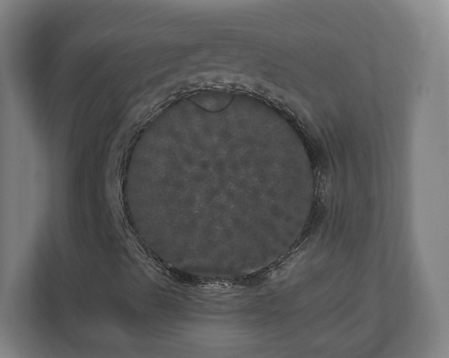 X0000110871489200906251218