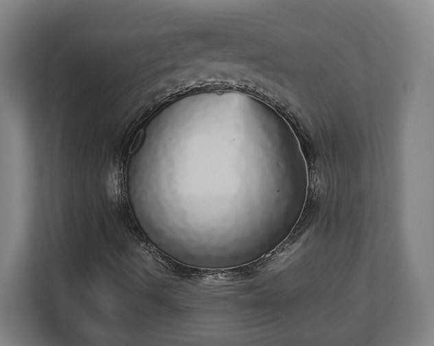 X0000110871490200906251218