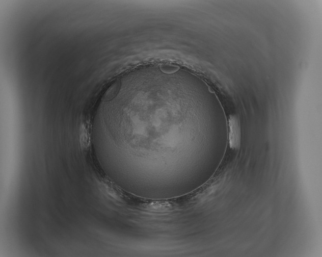 X0000110871491200906251218