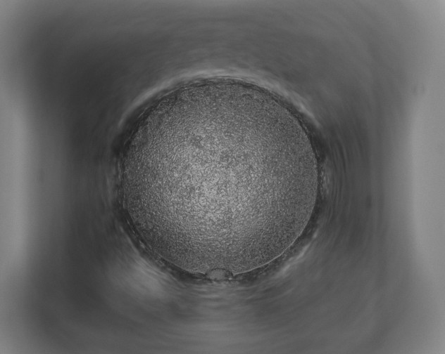 X0000110871494200906251218