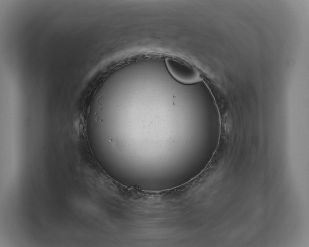 X0000110871495200906251218