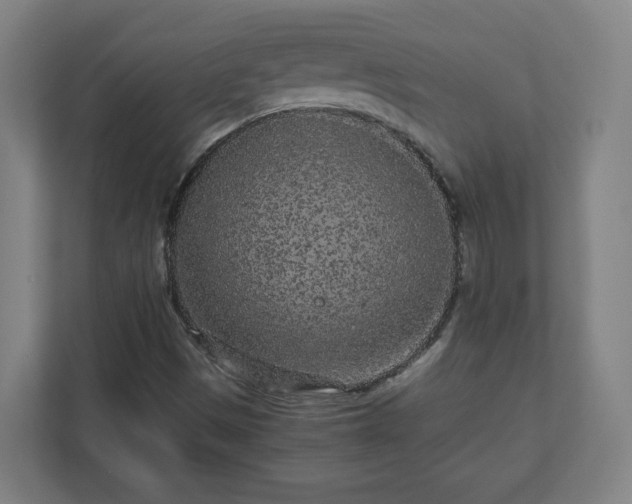 X0000110871497200906251218