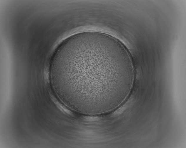 X0000110871499200906251218