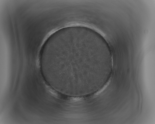 X0000110871501200906251218