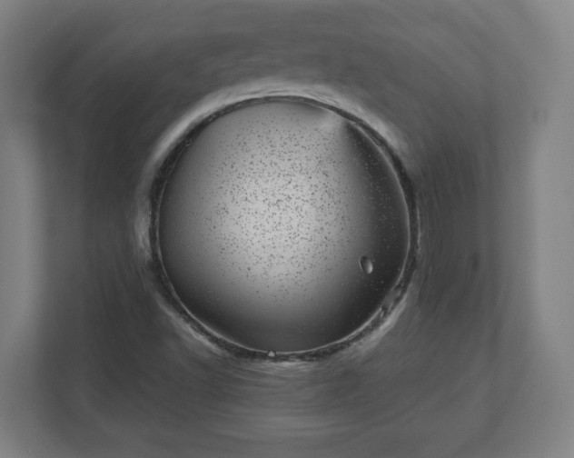 X0000110871502200906251218