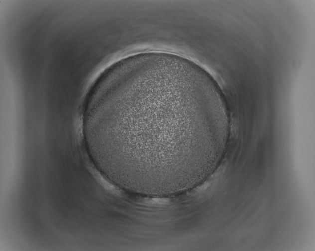 X0000110871503200906251218