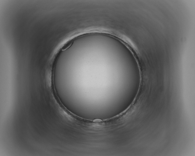 X0000110871504200906251218