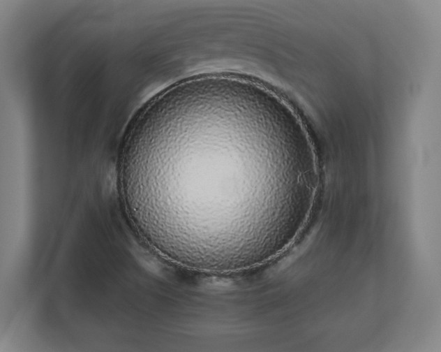 X0000110871505200906251218