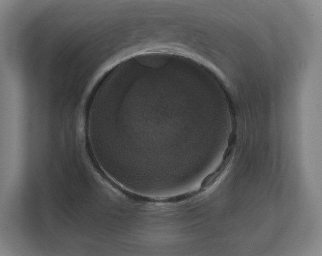 X0000110871506200906251218