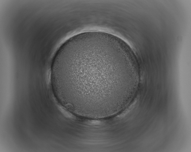 X0000110871507200906251218