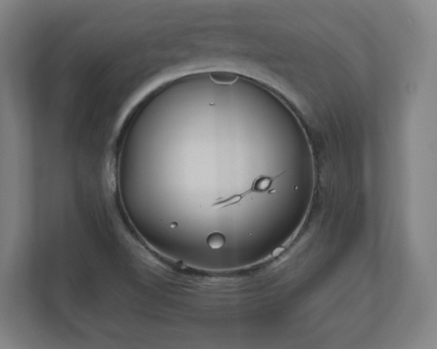 X0000110871510200906251218