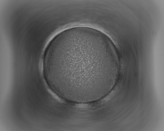 X0000110871511200906251218