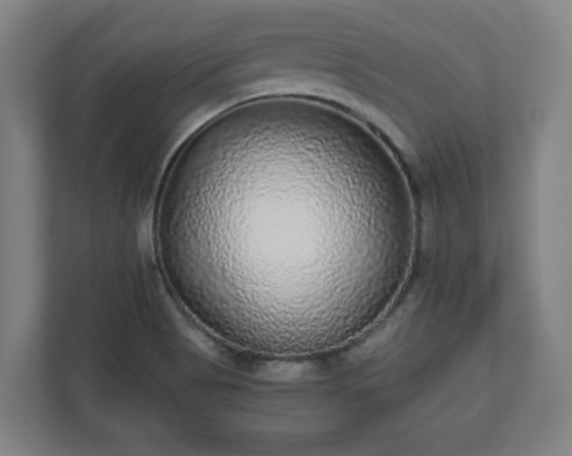 X0000110871513200906251218