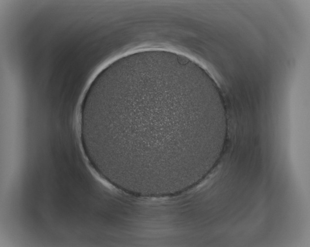 X0000110871519200906251218