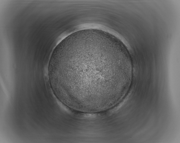 X0000110871521200906251218