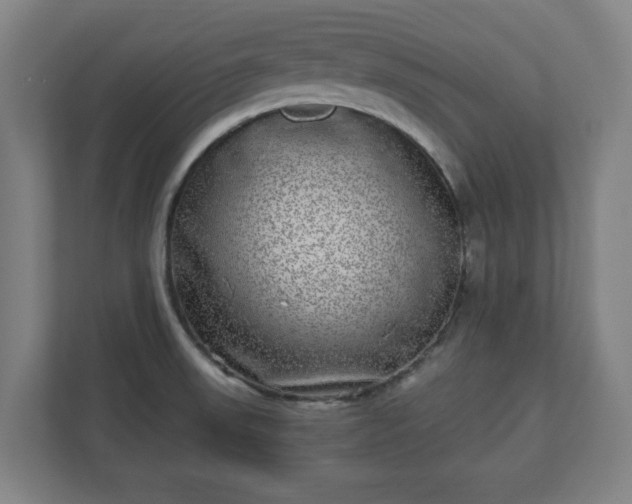 X0000110871523200906251218