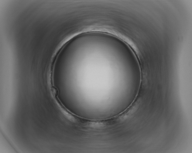 X0000110871525200906251218