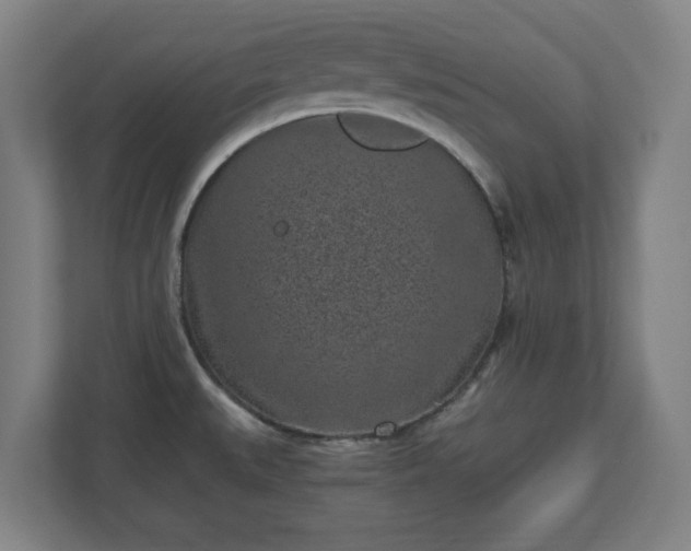 X0000110871527200906251218