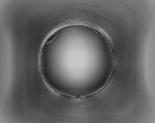 X0000110871528200906251218