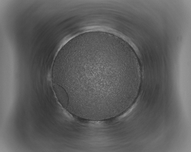 X0000110871529200906251218