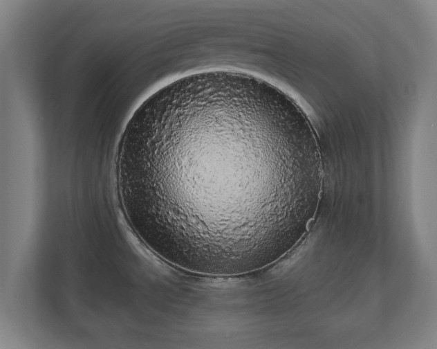 X0000110871534200906251218