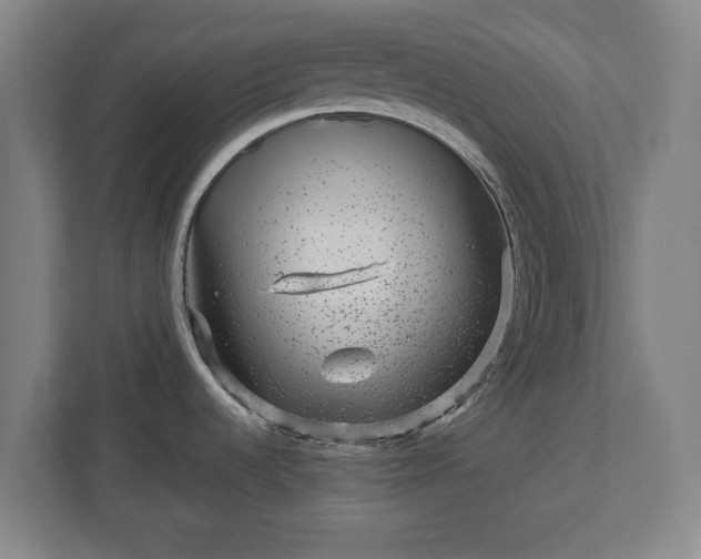 X0000110871536200906251218