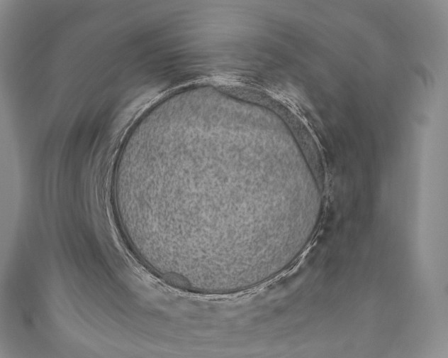 X0000110870001200907021446