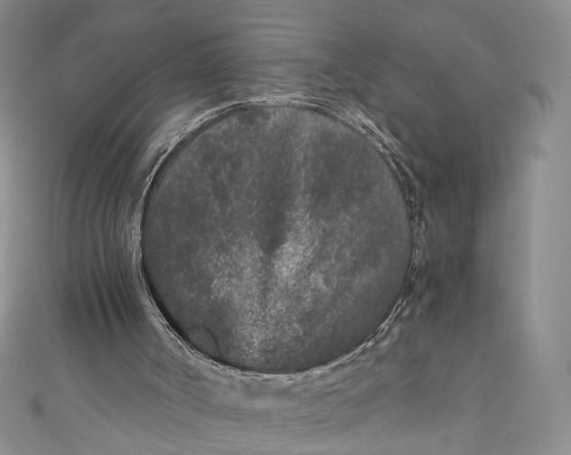 X0000110870002200907021446