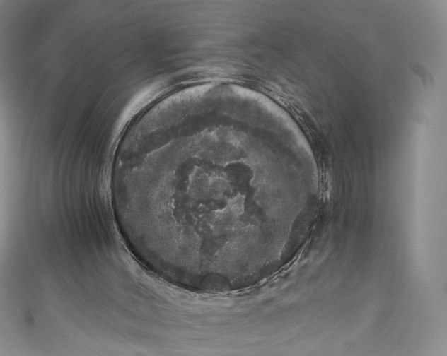 X0000110870004200907021446