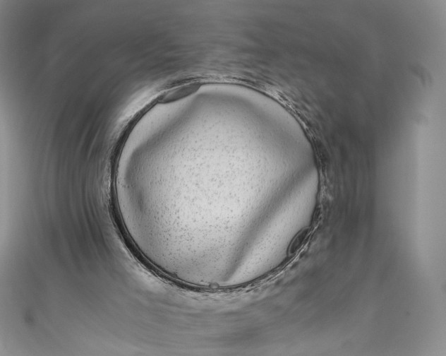 X0000110870005200907021446