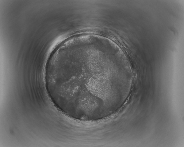 X0000110870006200907021446