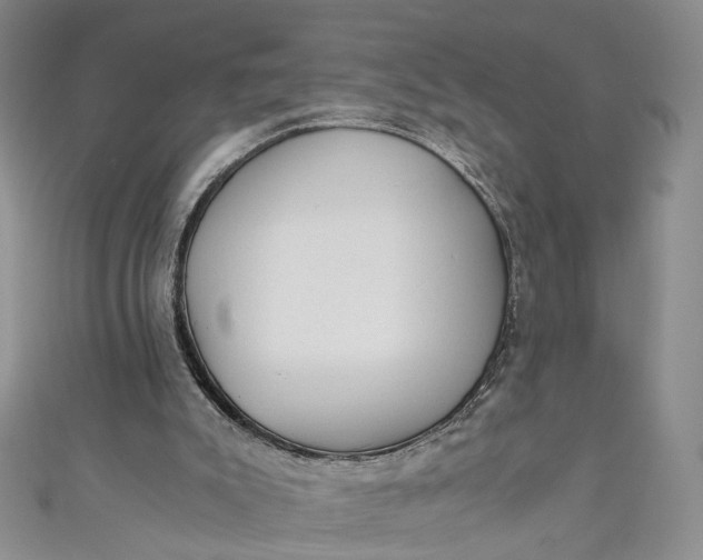 X0000110870007200907021446