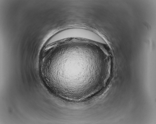 X0000110870008200907021446