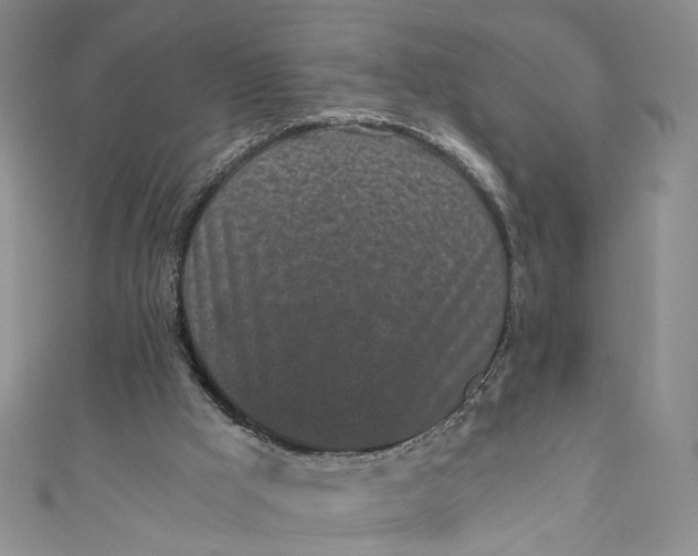 X0000110870009200907021446