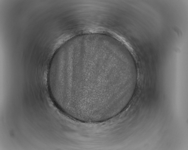 X0000110870010200907021446