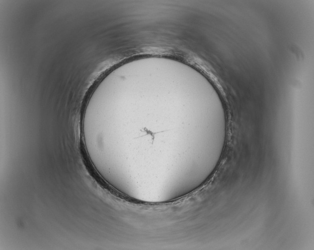 X0000110870011200907021446