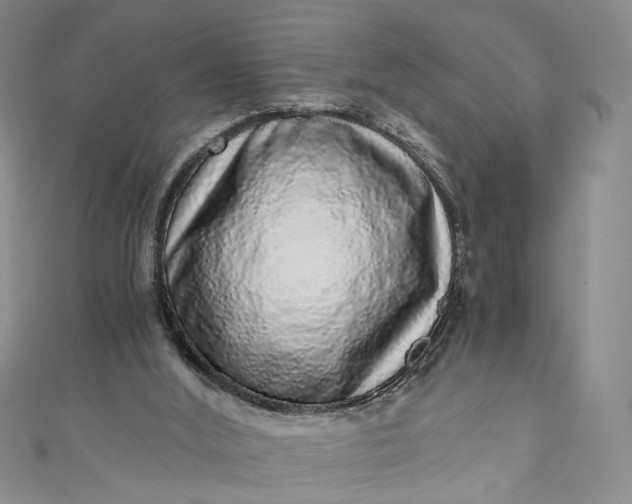 X0000110870012200907021446