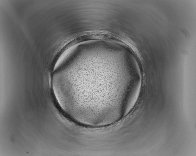 X0000110870013200907021446