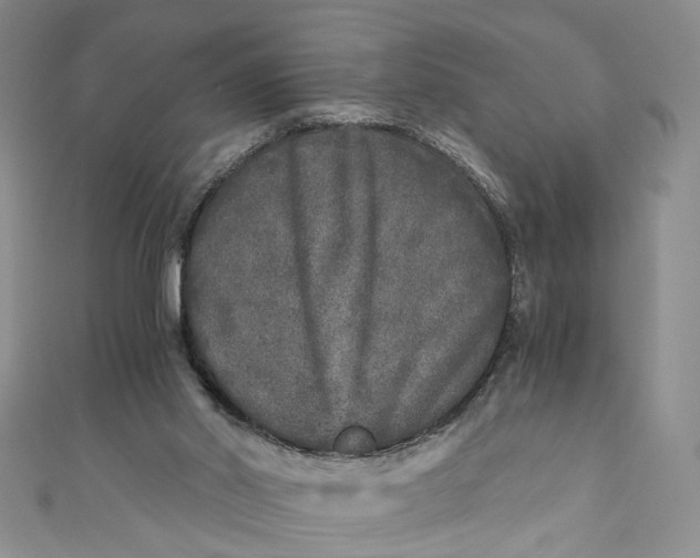 X0000110870014200907021446