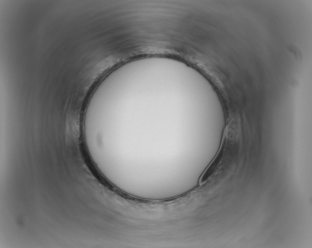 X0000110870015200907021446